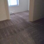 Clean apartment carpet
