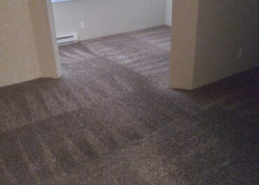 Clean apartment carpet